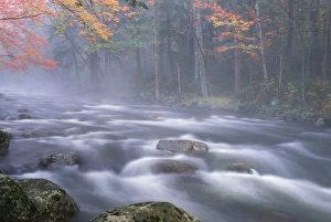 USA, New York, Adirondacks, Big Moose River rapids in Fall