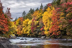 Images Dated 17th January 2022: USA, New York, Adirondacks. Long Lake, autumn color along the Raquette River