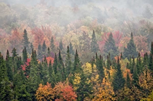 Images Dated 30th September 2011: USA, New York, Adirondacks State Park. Credit as: Jay O Brien / Jaynes Gallery