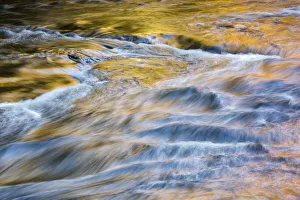 New York State Prints: USA, New York, Adirondacks. Tupper Lake, autumn reflections at Bog River Falls
