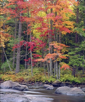 Perfect Prints: USA, New York, Autumn in the Adirondack Mountains Credit as: Christopher Talbot