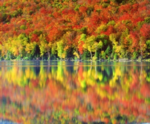 USA; New York; Autumn colors relecting in Heart Lake in the Adirondacks