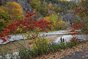 Couple Prints: USA, New York. Couple walking along creek, Taughannock Falls State Park