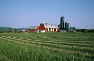 Tractor Prints: USA, New York, Finger Lakes region. Dairy farm near Cayuga Lake