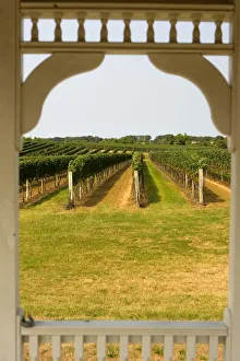 Images Dated 18th September 2005: USA, New York, The Hamptons, Farmlands and flower fields