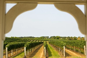 Images Dated 18th September 2005: USA, New York, The Hamptons, Farmlands and flower fields