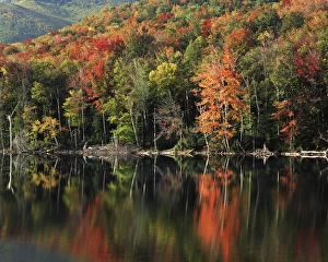 Adirondack Prints: USA, New York, Heart Lake, Autumn