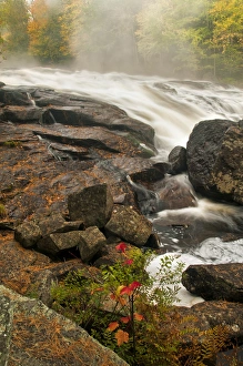 Inlet Prints: USA, New York, Inlet. Mist over rushing stream