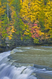 Images Dated 18th October 2009: USA, New York, Letchworth State Park. Waterfall and forest scenic