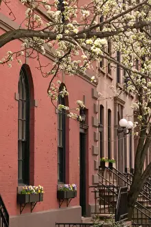Images Dated 28th January 2005: USA-New York-New York City-Brooklyn: Brooklyn Heights-Brownstone Building / Spring