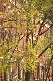 Images Dated 28th January 2005: USA-New York-New York City-Manhattan: Greenwich Village-Washington Square North Brownstones
