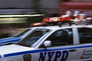 Safety Prints: USA, New York, New York, police car