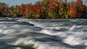 Great Lake Prints: USA, New York. Niagara River, fall foliage and rapids, Niagara Falls State Park
