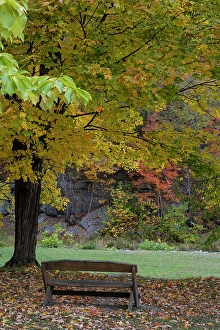 Images Dated 4th May 2024: USA, New York. Park bench in Taughannock Falls State Park