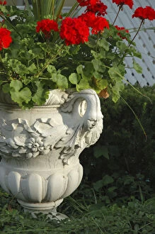 Images Dated 15th August 2006: U.S.A. New York, Saratoga Springs, geraniums in urn, historic district