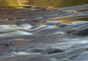 USA, New York State. Autumn colors reflected in the Bog River, Adirondack Mountains