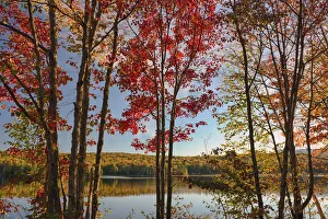 Images Dated 2nd October 2017: USA, New York State. Lake Durant framed by autumn maples, Adirondack Mountains