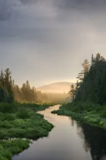 New York Prints: USA, New York State. Morning light on Grampus Lake Outlet, Adirondack Mountains