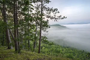 Mystery Prints: USA, New York State. Mountains enshrouded in morning fog