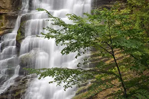 New York State Prints: USA, New York State. Pratts Falls
