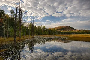 Images Dated 11th October 2017: USA, New York State. Reflections in pond in autumn, Adirondack Mountains