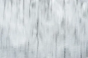 New York Prints: USA, New York State. Snow covered trees reflected in Green Lake, Green Lakes State Park