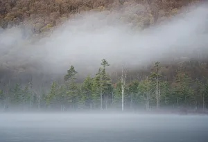 Images Dated 23rd April 2017: USA, New York State. Spring morning and mist on Labrador Pond