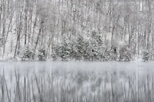 Images Dated 13th June 2018: USA, New York State. Winter trees reflected in Round Lake, Green Lakes State Park
