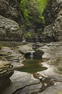 Landscape-Scenic Prints: USA, New York. Waterfalls along the Gorge Trail, Watkins Glen State Park