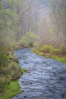 Images Dated 3rd May 2018: USA, New York, Watkins Glen. Stream and forest scenic