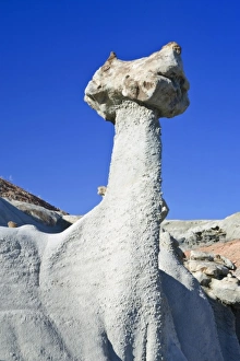 Hoo Doo Prints: USA, NM, Bisti Wilderness Area, near Farmington, Hoodoo
