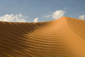 Images Dated 22nd June 2006: USA, NM, Gallup, Red Rock Canyon Loop Trail. Dramatic sweep in red sand dunes