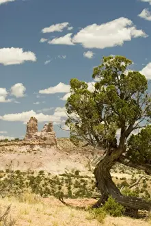 Images Dated 16th June 2006: USA, NM, Red Rock State Park. Pyramid Rock highest elevation in Red Rock area