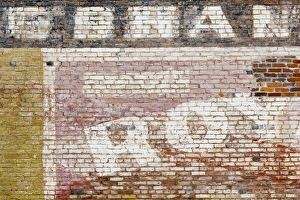 Images Dated 17th October 2009: USA, North America, Alabama
