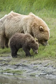 USA, North America, Alaska