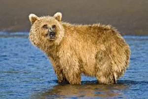 USA, North America, Alaska