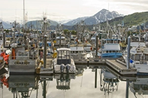 USA, North America, Alaska