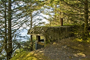 Moss Prints: USA, North America, Alaska
