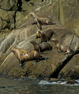 USA, North America, Alaska