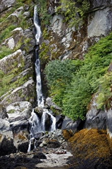 Images Dated 12th July 2009: USA, North America, Alaska