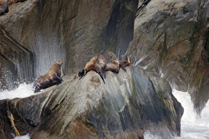 USA, North America, Alaska