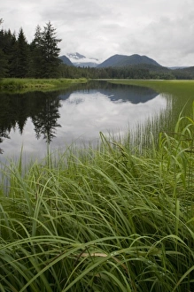 Images Dated 9th August 2007: USA, North America, Alaska
