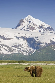 Images Dated 1st July 2008: USA, North America, Alaska