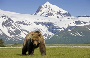 Images Dated 1st July 2008: USA, North America, Alaska