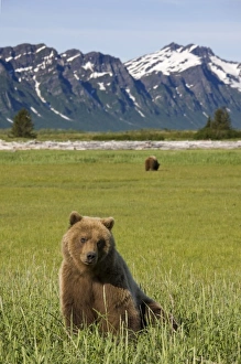 Images Dated 1st July 2008: USA, North America, Alaska
