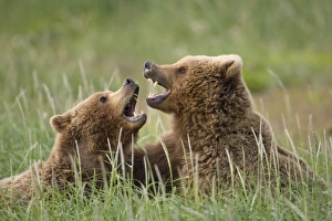 USA, North America, Alaska