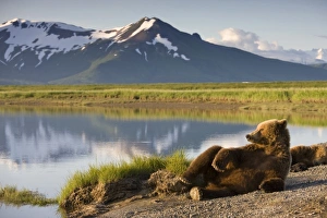 Images Dated 11th July 2008: USA, North America, Alaska