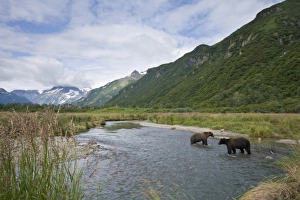 Images Dated 28th August 2008: USA, North America, Alaska