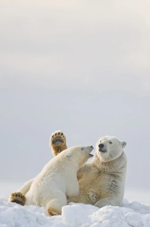 USA, North America, Alaska