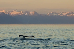 Images Dated 30th July 2006: USA, North America, Alaska